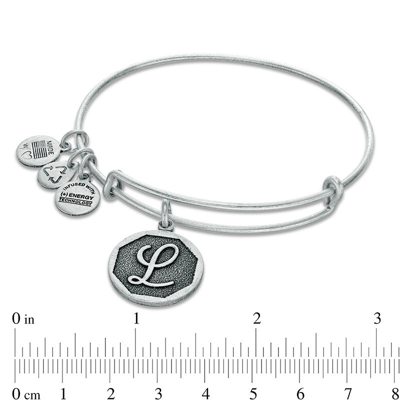 Alex and ani sale camera charm bracelet