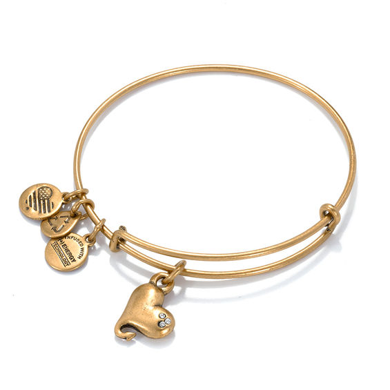 alex and ani v bracelet