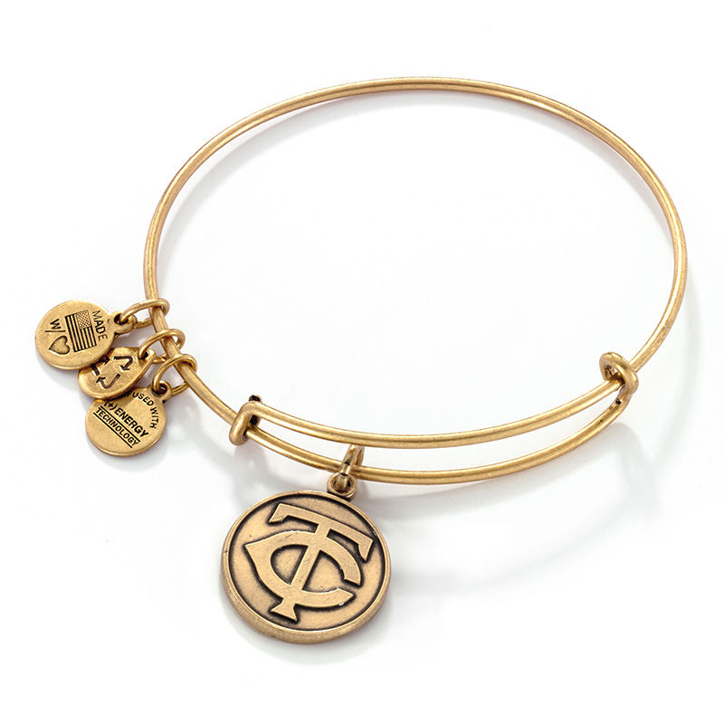 alex and ani twins