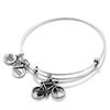 Thumbnail Image 0 of Alex and Ani Bicycle Charm Bangle in Silver-Tone Brass
