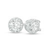 Thumbnail Image 1 of 1/6 CT. T.W. Diamond Solitaire Stud Earrings in 10K White Gold