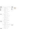 Thumbnail Image 3 of 1/4 CT. T.W. Diamond Solitaire Stud Earrings in 14K Gold (J/I2)