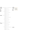 Thumbnail Image 3 of 1/3 CT. T.W. Diamond Solitaire Stud Earrings in 14K Gold (J/I2)