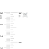 Thumbnail Image 3 of 1/2 CT. T.W. Certified Princess-Cut Diamond Solitaire Stud Earrings in 14K White Gold (I/I1)