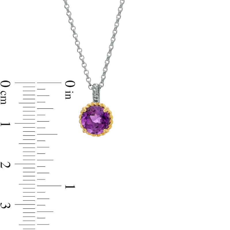 Main Image 4 of 7.0mm Amethyst Solitaire Rope-Textured Frame and Drop Pendant in Sterling Silver and 10K Gold