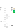 Thumbnail Image 3 of Oval Emerald and 1/20 CT. T.W. Diamond Stud Earrings in 10K Gold