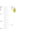 Thumbnail Image 3 of Oval Peridot and 1/20 CT. T.W. Diamond Stud Earrings in 10K Gold