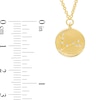 Thumbnail Image 4 of White Lab-Created Sapphire Pisces Constellation Disc Necklace in Sterling Silver with 18K Gold Plate