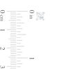 Thumbnail Image 3 of 3/4 CT. T.W. Certified Princess-Cut Lab-Created Diamond Solitaire Stud Earrings in 14K White Gold (F/SI2)