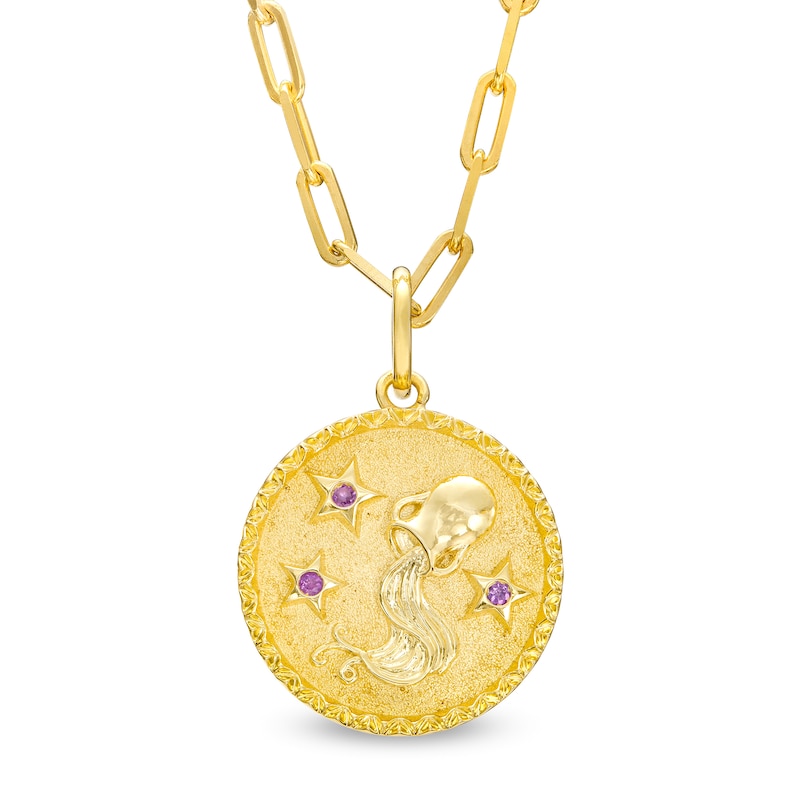 Main Image 1 of Amethyst Aquarius Zodiac Symbol Textured Frame Medallion Pendant in Sterling Silver with 14K Gold Plate