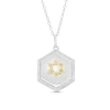 Thumbnail Image 0 of 1/4 CT. T.W. Diamond Star of David Hexagon Pendant in Sterling Silver and 10K Gold