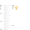 Thumbnail Image 3 of Puffed Cross Stud Earrings in 14K Gold