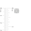 Thumbnail Image 3 of 1/2 CT. T.W. Certified Lab-Created Multi-Diamond Stud Earrings in 14K White Gold (F/SI2)