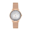 Thumbnail Image 0 of Ladies’ Armani Exchange Lola Crystal Accent Rose-Tone IP Mesh Watch with Grey Dial (Model: AX5617)