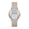 Thumbnail Image 1 of Ladies’ Armani Exchange Lola Crystal Accent Rose-Tone IP Mesh Watch with Grey Dial (Model: AX5617)