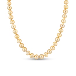 8.0-9.5mm Golden South Sea Cultured Pearl Strand Necklace in 14K Gold - 17.5”
