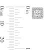 Thumbnail Image 3 of 1 CT. T.W. Princess-Cut Certified Lab-Created Diamond Frame Stud Earrings in 14K White Gold (F/SI2)