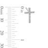 Thumbnail Image 3 of 1/10 CT. T.W. Diamond Cross Stud Earrings in Sterling Silver