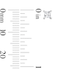 Thumbnail Image 2 of 1/3 CT. T.W. Princess-Cut Certified Lab-Created Diamond Solitaire Stud Earrings in Sterling Silver (F/VS2)