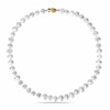 Thumbnail Image 1 of Previously Owned-8.0-9.0mm Freshwater Cultured Pearl Strand Necklace