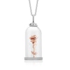 beauty and the beast rose in glass necklace